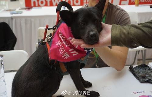 这些内容不仅吸引了消费者的关注也让他们更加深入地了解公司的产品
